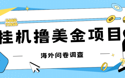 最新挂机撸美金礼品卡项目，可批量操作，单机器200 【入坑思路 详细教程】