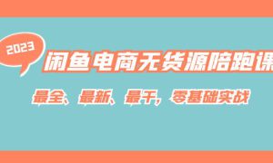 闲鱼电商无货源陪跑课，最全、最新、最干，零基础实战！