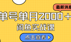 咸鱼虚拟资料新模式，月入2w＋，可批量复制，单号一天50-60没问题 多号多撸