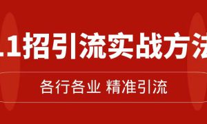 精准引流术：11招引流实战方法，让你私域流量加到爆（11节课完整版）