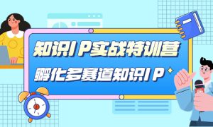 知识IP实战特训营，孵化-多赛道知识IP（33节课）