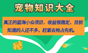 真正的蓝海小众项目，宠物知识大全，收益很稳定（教务 素材）