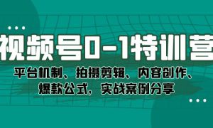 视频号0-1特训营：平台机制、拍摄剪辑、内容创作、爆款公式，实战案例分享