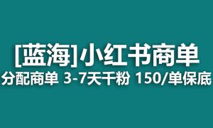 2023蓝海项目，小红书商单，快速千粉，长期稳定，最强蓝海没有之一