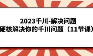 2023千川-解决问题，硬核解决你的千川问题（11节课）