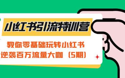 小红书引流特训营-第5期：教你零基础玩转小红书，逆袭百万流量大咖