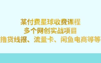 某付费星球课程：多个网创实战项目，撸货线报、流量卡、闲鱼电商等等