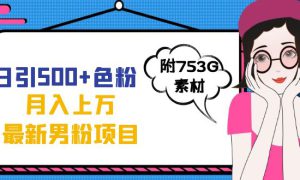 日引500 色粉轻松月入上万九月份最新男粉项目（附753G素材）