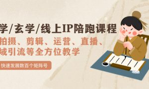 国学/玄学/线上IP陪跑课程，从0-1全方位教学，快速发展数百个矩阵号