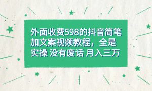 外面收费598抖音简笔加文案教程，全是实操 没有废话 月入三万（教程 资料）