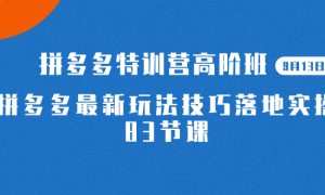 2023拼多多·特训营高阶班【9月13日更新】拼多多最新玩法技巧落地实操-83节