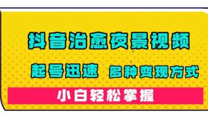 抖音治愈系夜景视频，起号迅速，多种变现方式，小白轻松掌握（附120G素材）