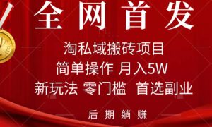 淘私域搬砖项目，利用信息差月入5W，每天无脑操作1小时，后期躺赚