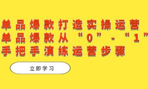 单品爆款打造实操运营，单品爆款从“0”-“1”手把手演练运营步骤