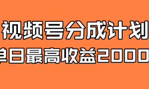 全新蓝海 视频号掘金计划 日入2000