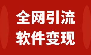 全网引流，软件虚拟资源变现项目，日入1000＋