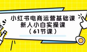 小红书电商运营基础课，新人小白实操课（61节课）