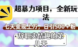 超暴利项目，全新玩法（辞职卖情趣的第几天），七天变现上万，日引500 粉