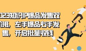 2023知识IP-爆品发售双 阶班，左手爆品右手发售，开启批量收钱