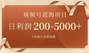 视频号蓝海项目，0基础在家也能做，一天200-5000 【附266G资料】