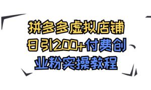 拼多多虚拟店铺日引200 付费创业粉实操教程