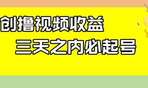 最新撸视频收益玩法，一天轻松200