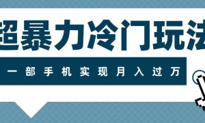 超暴力冷门玩法，可长期操作，一部手机实现月入过万