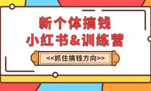 新个体·搞钱-小红书训练营：实战落地运营方法，抓住搞钱方向，每月多搞2w