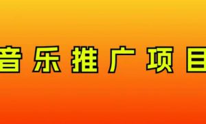 音乐推广项目，只要做就必赚钱！一天轻松300 ！无脑操作，互联网小白的项目