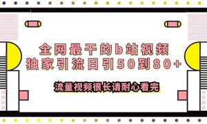 全网最干的b站视频独家引流日引50到80 流量视频很长请耐心看完