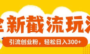 全新截流玩法，精准引流创业粉，轻松日入300