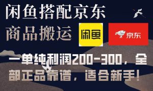 闲鱼搭配京东备份库搬运，一单纯利润200-300，全部正品靠谱，适合新手！