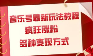 音乐号最新玩法教程，疯狂涨粉，多种拓展变现方式（附保姆级教程 素材）