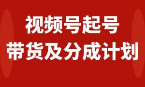 视频号快速起号，分成计划及带货，0-1起盘、运营、变现玩法，日入1000