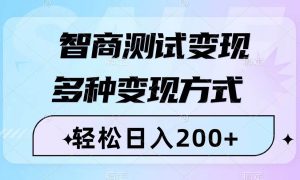 智商测试变现，轻松日入200 ，几分钟一个视频，多种变现方式（附780G素材）