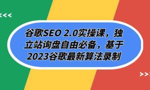 谷歌SEO 2.0实操课，独立站询盘自由必备，基于2023谷歌最新算法录制（94节