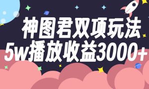 神图君双项玩法5w播放收益3000