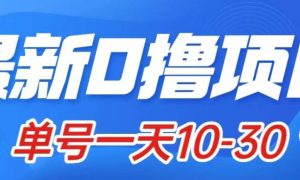 最新0撸小项目：星际公民，单账号一天10-30，可批量操作