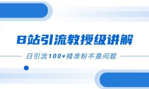 B站引流教授级讲解，细节满满，日引流100 精准粉不是问题