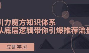 引力魔方知识体系，从底层逻辑带你引爆荐推流量！