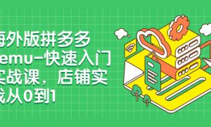 海外版拼多多Temu-快速入门实战课，店铺实战从0到1（12节课）