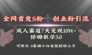 全网首发s粉加创业粉引流变现，成人用品赛道7天变现10w 保姆教学3.0