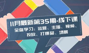 11月最新-35期-线下课：全盘学习：运营、主播、视频、投放、打爆品、场景