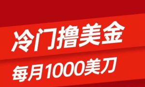 冷门撸美金项目：只需无脑发帖子，每月1000刀，小白轻松掌握