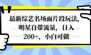 最新综艺名场面片段玩法，明星自带流量，日入200 ，小白可做