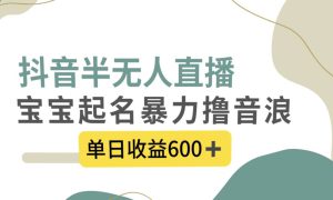 抖音半无人直播，宝宝起名，暴力撸音浪，单日收益600