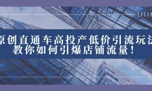 2023直通车高投产低价引流玩法，教你如何引爆店铺流量！