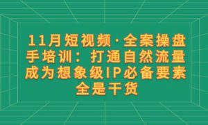 11月短视频·全案操盘手培训：打通自然流量 成为想象级IP必备要素 全是干货