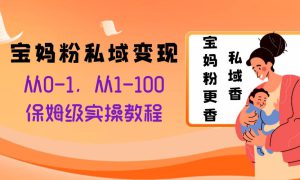 宝妈粉私域变现从0-1，从1-100，保姆级实操教程，长久稳定的变现之法