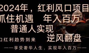 2024红利风口项目来袭，享受第一波红利，逆风翻盘普通人也能实现，年入百万